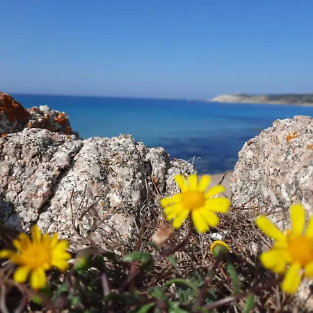 Appartamenti Santa Teresa Gallura *