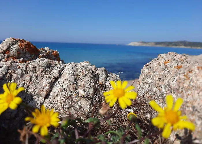 Appartamenti Santa Teresa Gallura *